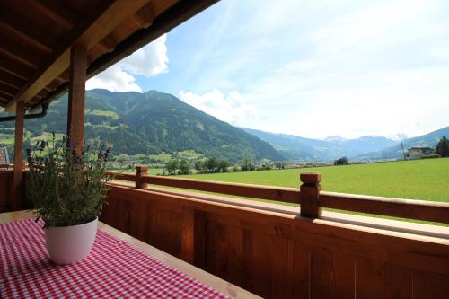 a porch with a table with a potted plant on it at Chalet Fügen in Fügen