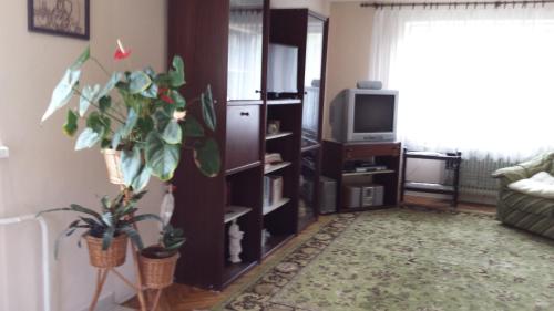 salon z kanapą i telewizorem w obiekcie Barnabáš Rusnák Ubytovanie v súkromí w mieście Mučín