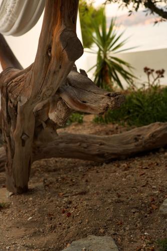 a tree branch sitting on the ground in the dirt at Casa Aiora in Adamas