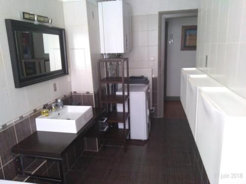 La salle de bains est pourvue d'un lavabo et d'un miroir. dans l'établissement Appartement Meurisse 7, à Metz