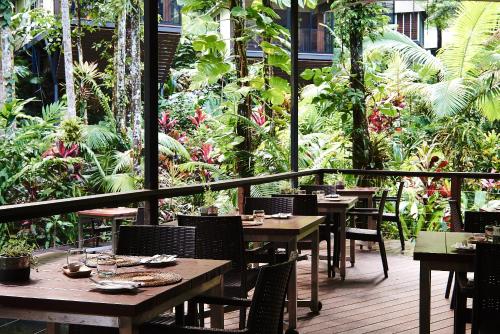 Κήπος έξω από το Daintree Ecolodge