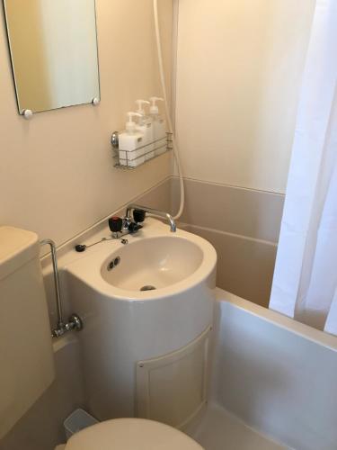 a bathroom with a sink and a toilet at Lodge Blue Mount Hakuba in Hakuba