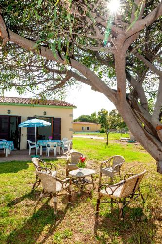 a group of chairs and a table under a tree at Stella Marina Budoni in Budoni