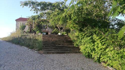 a set of stairs leading up to a house at Family Hotel Mimosa in Tsarevo