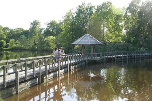 two people walking on a bridge over a pond at Center Parcs Limburgse Peel Limburg-Brabant in America