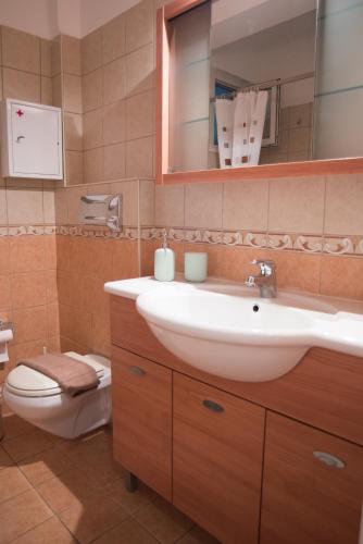 a bathroom with a sink and a toilet and a mirror at Mary's House in Lefkada