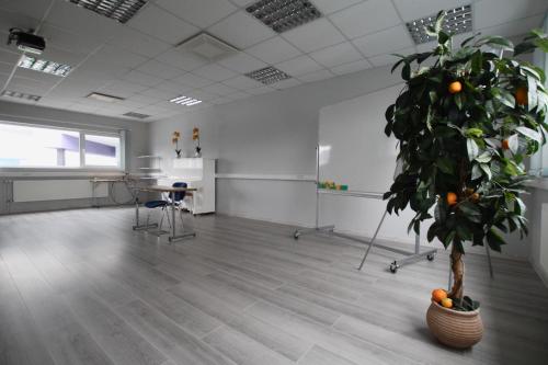 an office with a tree in the middle of a room at Viiking Spa Hotel in Pärnu