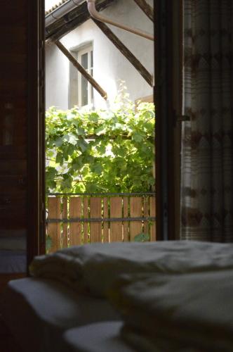 ein offenes Fenster mit Blick auf den Busch in der Unterkunft Hof am Brunnen in Girlan