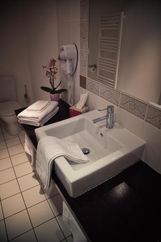 a bathroom with a sink and a toilet at Hôtel & Spa Chai De La Paleine in Le Puy-Notre-Dame