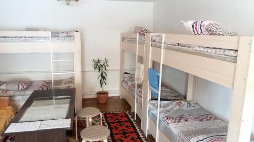 科奇科尔Happy Hostel in Kochkor的相册照片