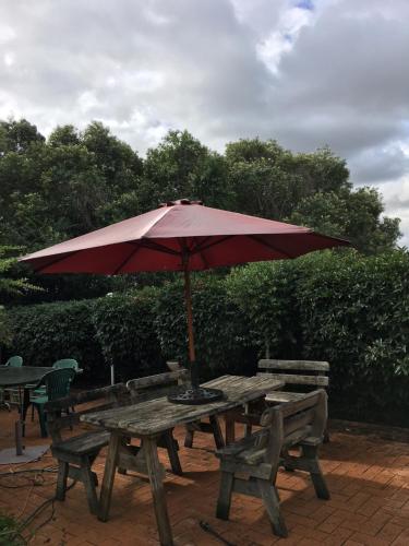 Κήπος έξω από το Branxton House Motel