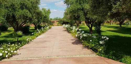 a path in a park with white flowers and trees at Villa Koutoubia, jardin luxuriant, piscine et spa in Marrakech