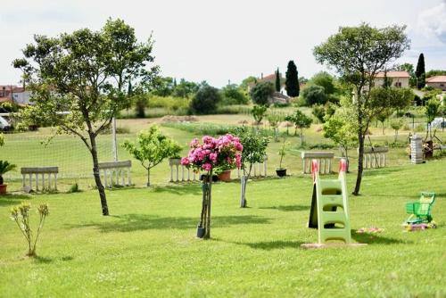 Ground Floor Apartments With Spacious Backyard – Photos 3