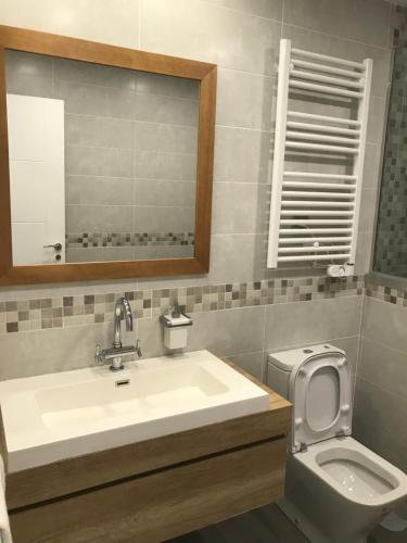 a bathroom with a sink and a toilet and a mirror at Nicoletta in Madrid