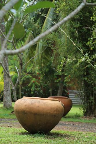 two large vases sitting on the grass in a park at Villa Gaetano Unawatuna in Unawatuna