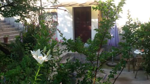 Zahrada ubytování Apartman Milada Vrvilo