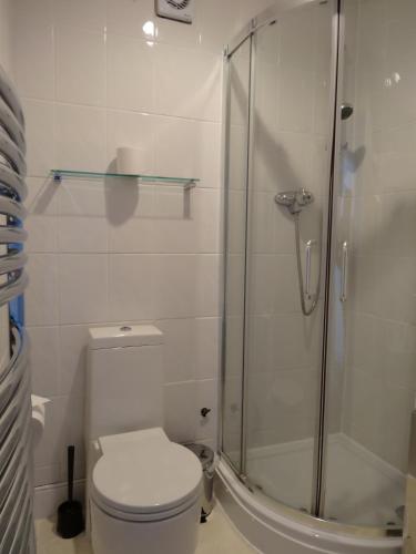 a bathroom with a toilet and a glass shower at Paskins Town House in Brighton & Hove