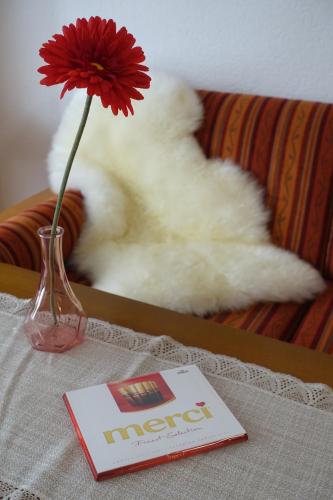 a red flower in a vase on a table at Studio Willimann Haus Dala im 4 Stock in Leukerbad