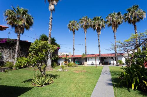 a garden in front of a house with palm trees at Finca La Gaviota - Maxi in Icod de los Vinos