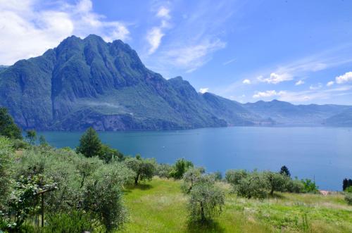 a view of a lake with a mountain in the background at Casa Emilia in Riva di Solto