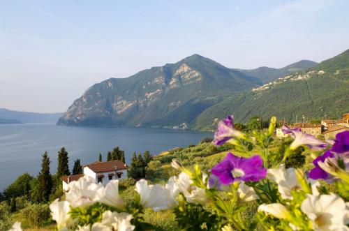 a view of a body of water with flowers at Casa Emilia in Riva di Solto