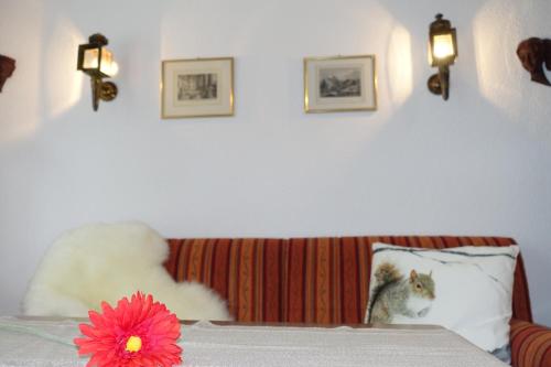 a cat sitting on a couch with a flower on a pillow at Studio Willimann Haus Dala im 4 Stock in Leukerbad