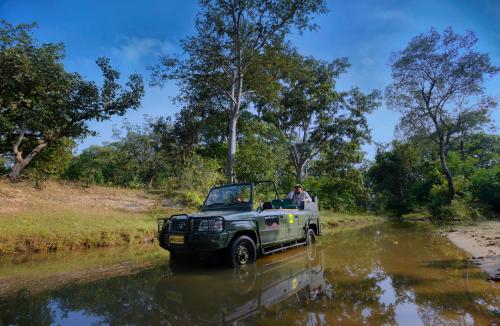 Landskap semula jadi dekat dengan resort