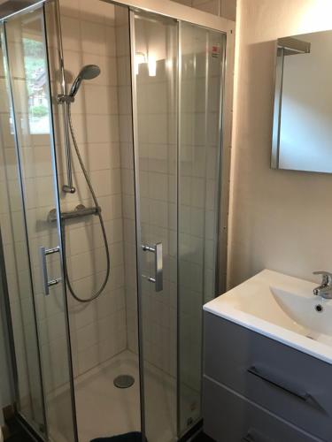 ein Bad mit einer Dusche und einem Waschbecken in der Unterkunft Apartment Elin 1 in Le Châble