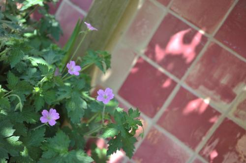 The Ceramic House photo 119