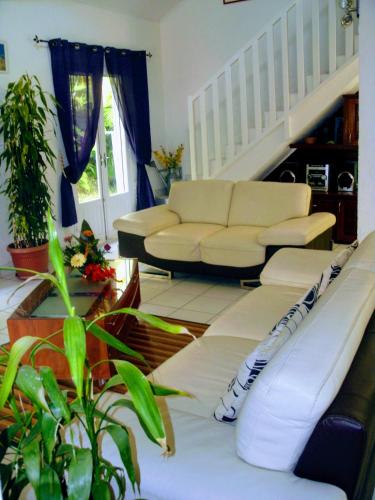 a living room with a couch and some plants at Villa arbre du voyageur, 4 étoiles et 4 clévacances in LʼEntre-Deux