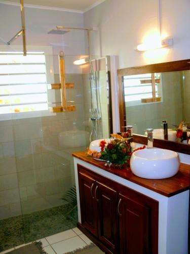 a bathroom with a sink and a shower at Villa arbre du voyageur, 4 étoiles et 4 clévacances in LʼEntre-Deux