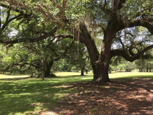 Canemount Plantation Inn – Photos 4