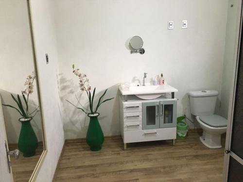 y baño con lavabo, aseo y microondas. en Apartamento Terreo em Caxias do Sul, en Caxias do Sul