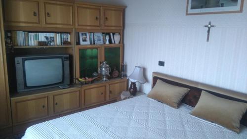 a bedroom with a bed and a television in it at Gerania ház in Vonyarcvashegy