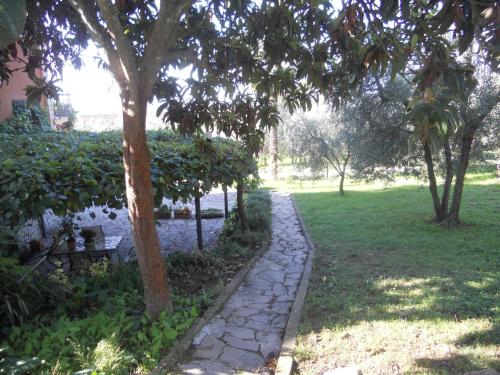 a stone path in a park with trees and grass at L'Uliveto in Montebuono
