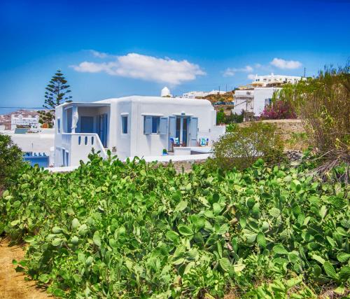 Sole Mare Villa