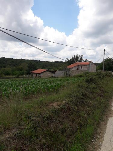 a field of grass with buildings in the background at Vila Vesna in Grožnjan