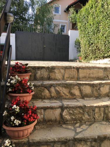 two pots of flowers on the steps of a house at Apartment Queen in Belgrade