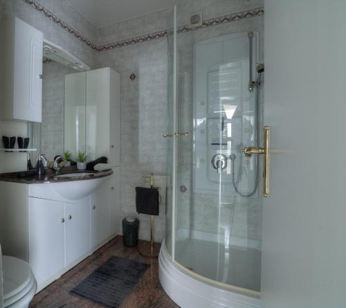 a bathroom with a shower and a sink at Apartment Barbara in Senj