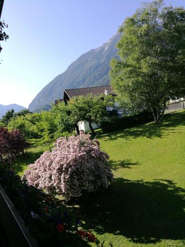 Gästepension Wiesenheim – Photos 3