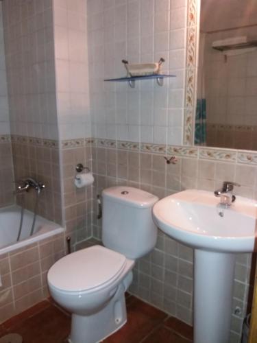 a bathroom with a toilet and a sink at Apartamentos las Fuentes del Alto Tajo in Peralejos de las Truchas