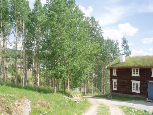 an old wooden house with a grass roof at Ivaregga Vinterstua in Tolga