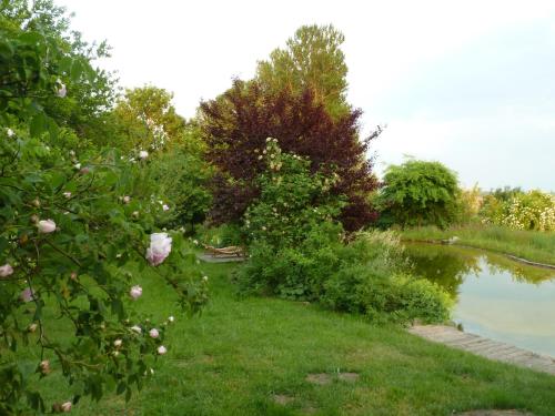 a garden with a pond and flowers on the grass at Gutshaus Altbauhof in Dargun