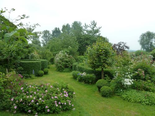 a garden with bushes and trees and flowers at Gutshaus Altbauhof in Dargun