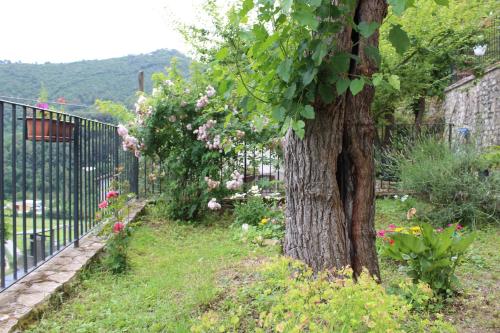 Zahrada ubytování Il Castello sul Lago