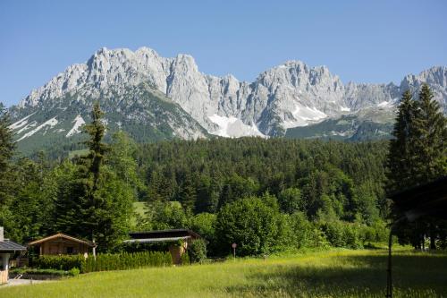 a view of a mountain range with a field and trees at otto steiner appartements pension ellmau & wilder kaiser in Ellmau