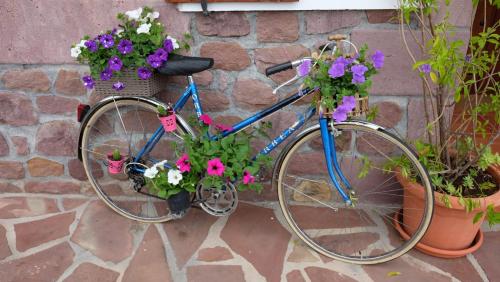 a blue bike parked next to a wall with flowers at Casa Rural Amazonas in Sumbilla