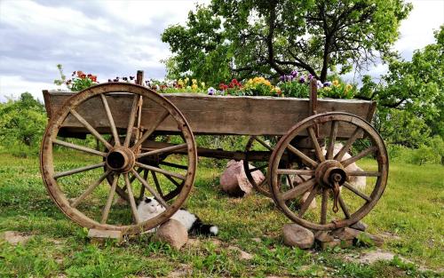 a wooden cart with flowers on it in the grass at Mednieki Kalvene in Krusāti