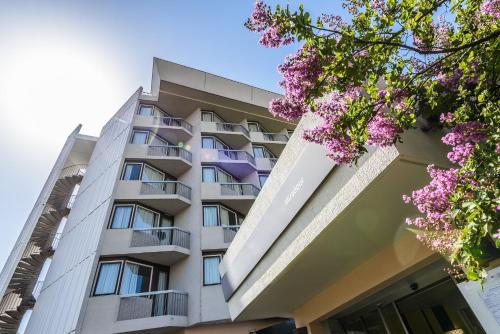 an apartment building with pink flowers in front of it at Miradour in Dax