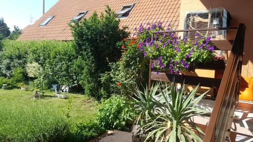 a garden with purple flowers and a house at Penzion Miromar in Podivín